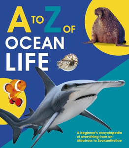 to Z of Ocean Life 