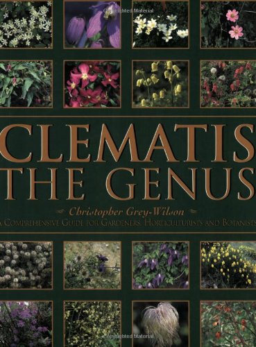 CLEMATIS