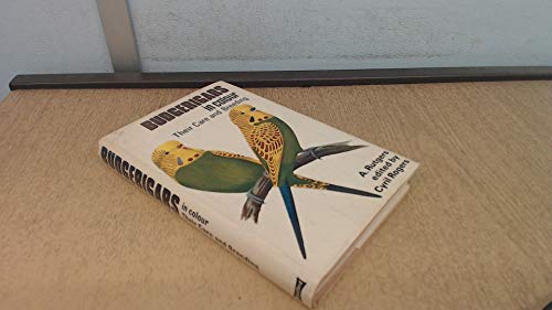 Budgerigars in Colour