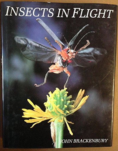 Insects in Flight