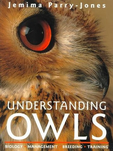 Understanding Owls