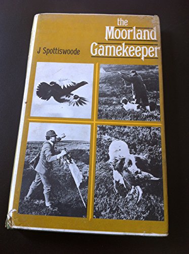 Moorland Gamekeeper