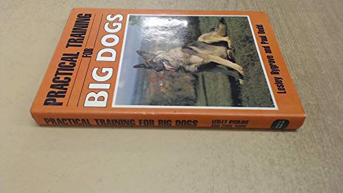 Practical Training for Big Dogs