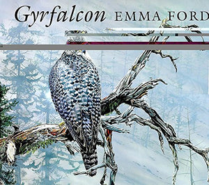 Gyrfalcon