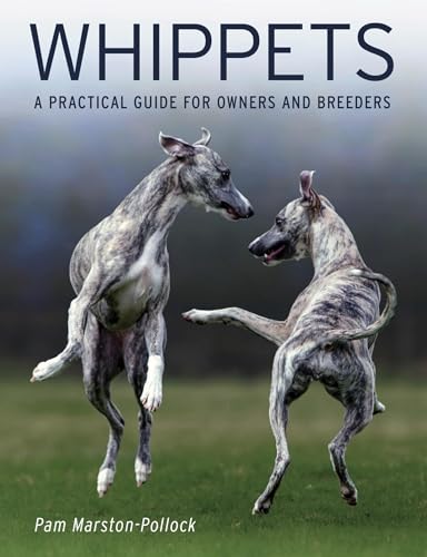 Whippets