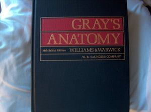 Gray's Anatomy 