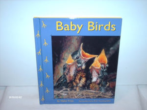 Baby Birds