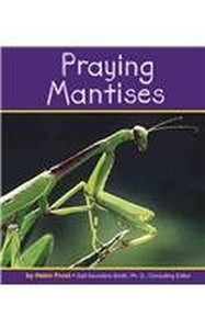 Praying Mantises 