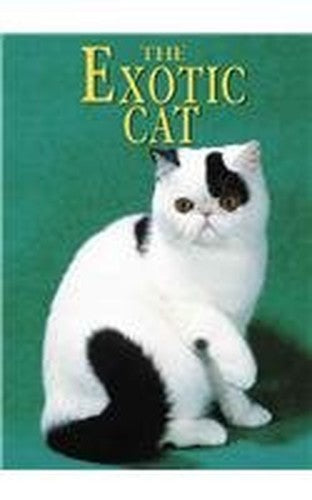 The Exotic Cat