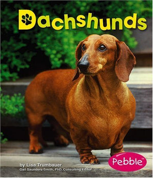 Dachshunds