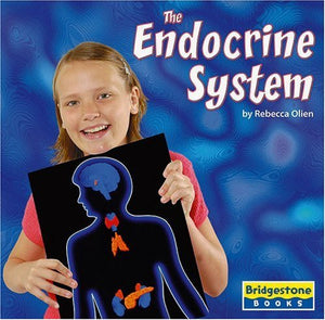 The Endocrine System