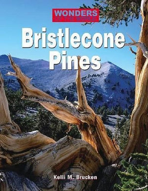 Bristlecone Pines