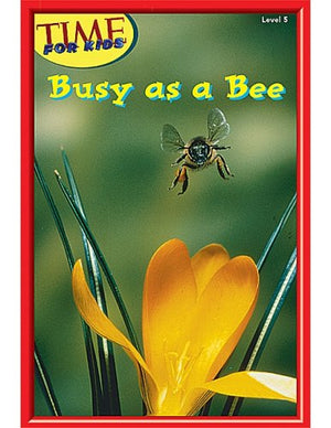 Busy as a Bee Level 6 (Early Readers from Time for Kids)
