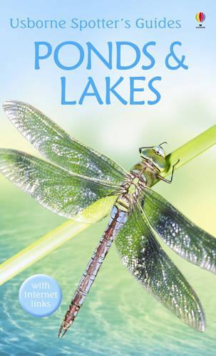 Ponds And Lakes
