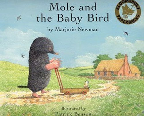 Mole and the Baby Bird