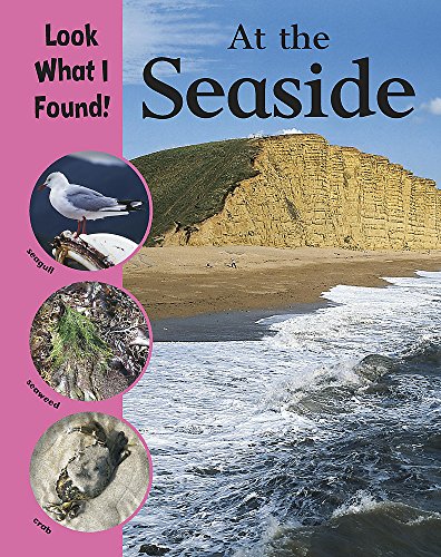 Look What I Found!: At The Seaside