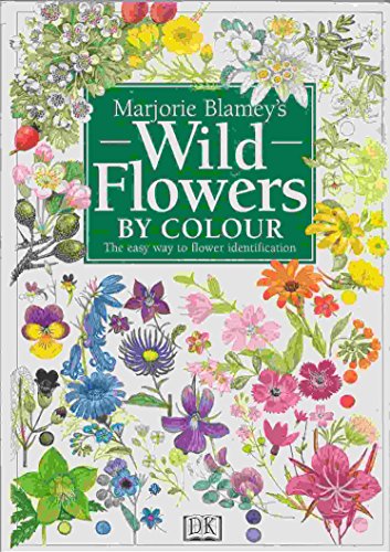 Wildflower By Colour