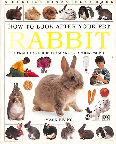How To Look After Your Pet:  Rabbit