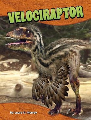 Dinosaur Guides Velociraptor