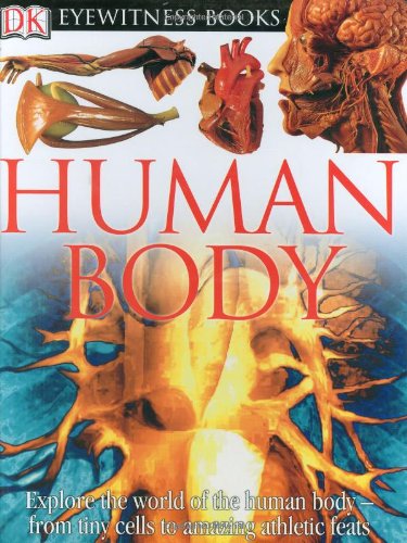 Human Body