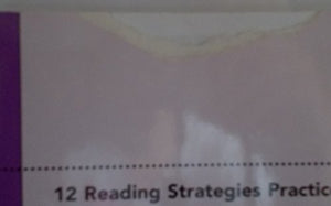 strategies to achieve reading success (book 4)