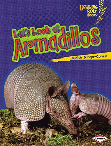 Let's Look at Armadillos
