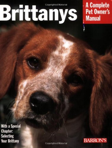 Brittanys
