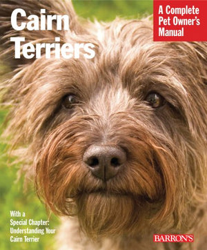 Cairn Terrier