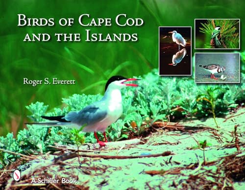 Birds of Cape Cod & The Islands cover