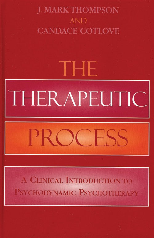 The Therapeutic Process