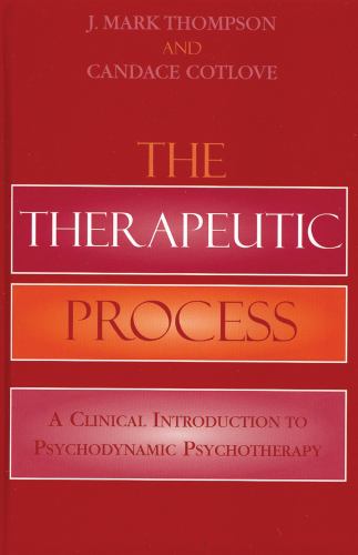 The Therapeutic Process