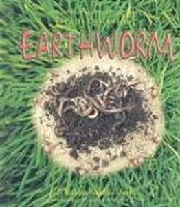 The Life Cycle of an Earthworm 