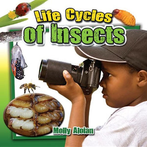 Life Cycles of Insects 