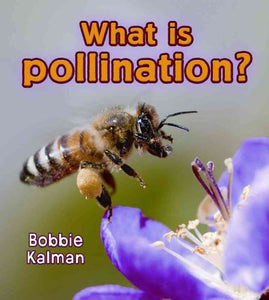 What Is Pollination? 