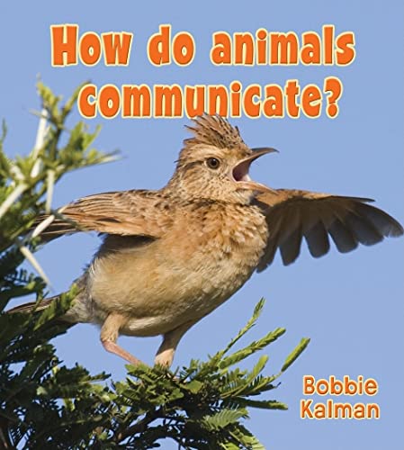 How Do Animals Communicate