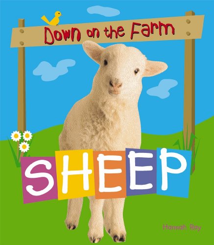Sheep