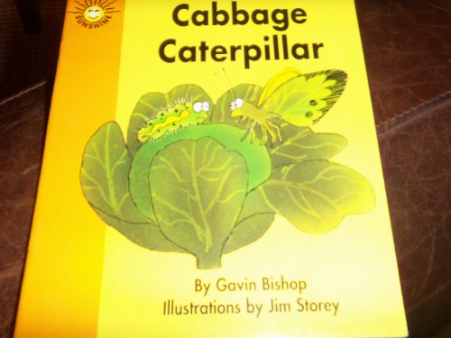 Cabbage Caterpillar