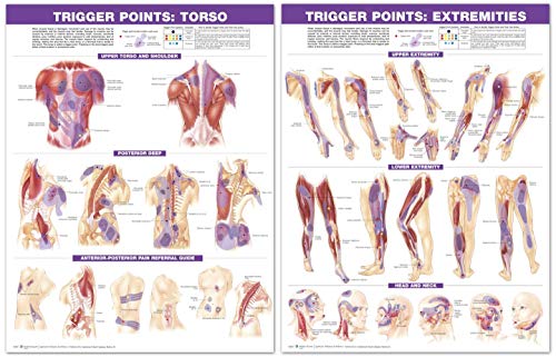 Trigger Point Chart Set: Torso & Extremities  Lam