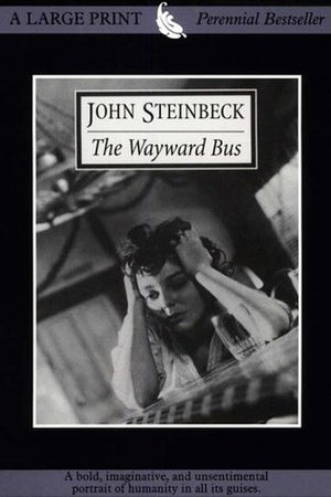 The Wayward Bus