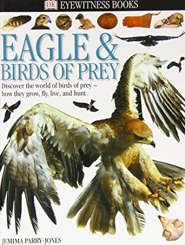 Eagles and Birds of Prey