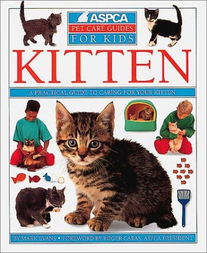 Kitten