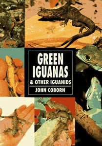 Green Iguanas and Other Iguanids 