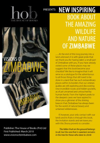 Visions of Zimbabwe, Mini Edition