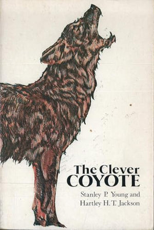 Clever Coyote