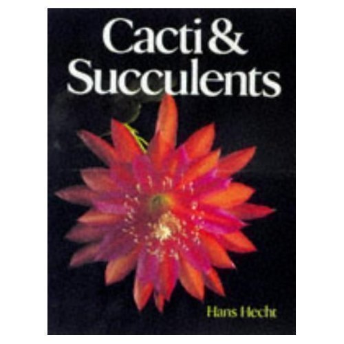 CACTI AND SUCCULENTS