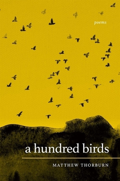 A Hundred Birds