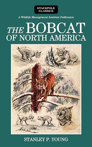 The Bobcat of North America