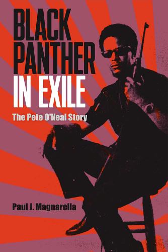 Black Panther in Exile cover