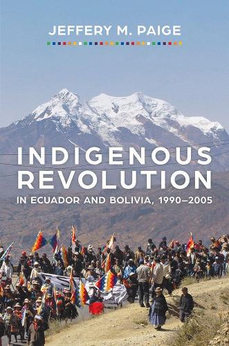 Indigenous Revolution in Ecuador and Bolivia, 1990–2005 cover