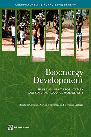 Bioenergy Development